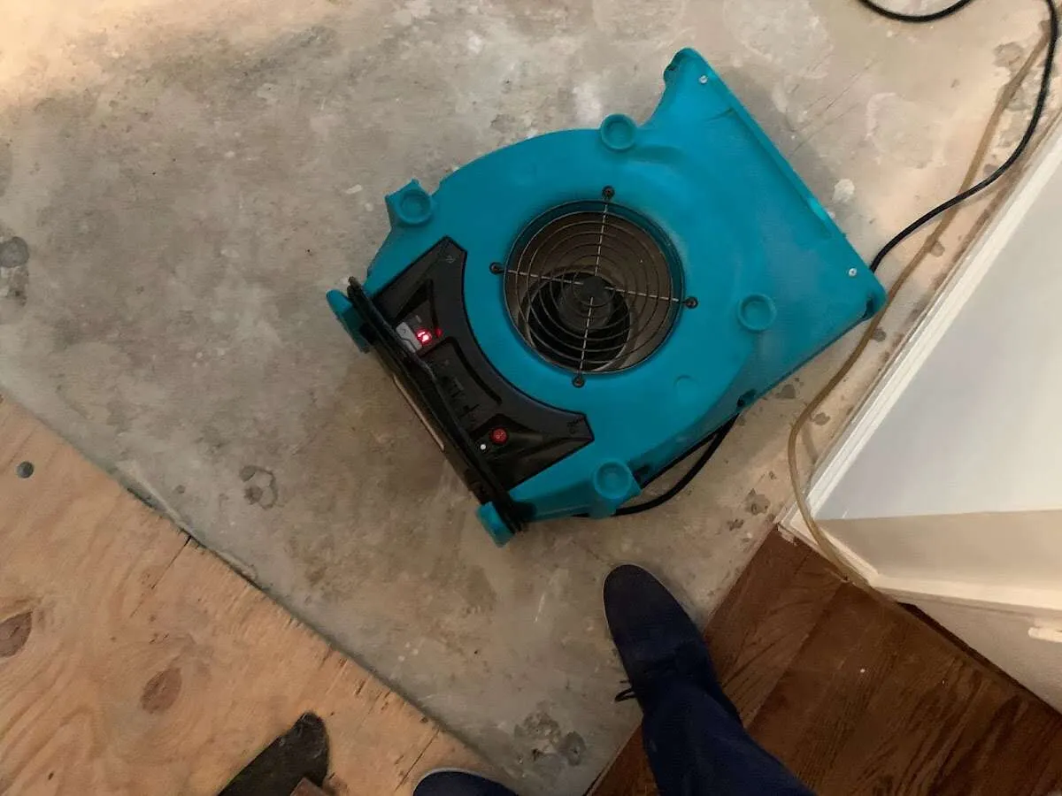 Air mover drying subfloor during Commercial Water Damage Restoration in Gardiner